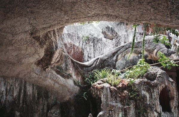 Virtually Explore the Largest Cave in the World: Son Doong in Vietnam image