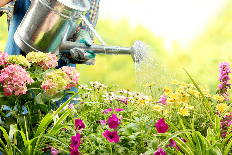 Get Ready for Spring with the Library and Arlington Water Utilities