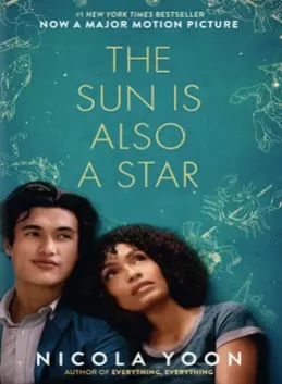 The Sun is Also a Star cover